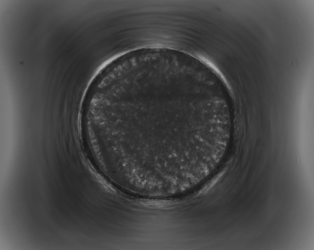 X0000082970932200703020231