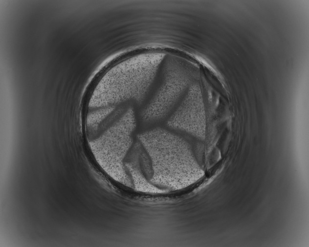 X0000082970934200703020231