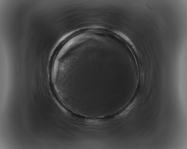 X0000082970935200703020231