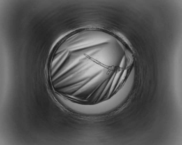 X0000082970936200703020231
