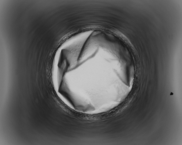 X0000082970937200703020231