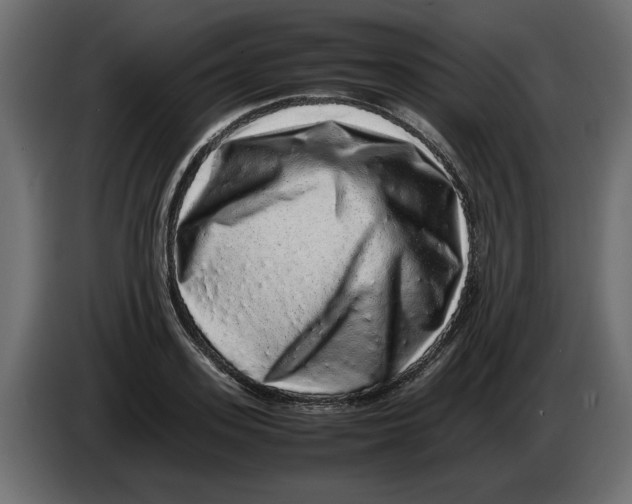 X0000082970939200703020231