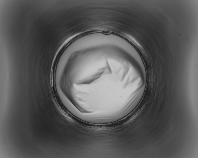 X0000082970940200703020231