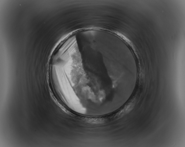 X0000082970941200703020231