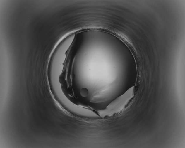 X0000082970942200703020231