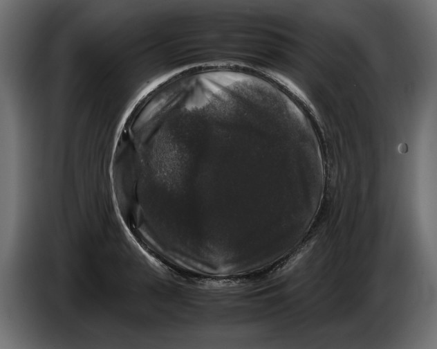 X0000082970943200703020231