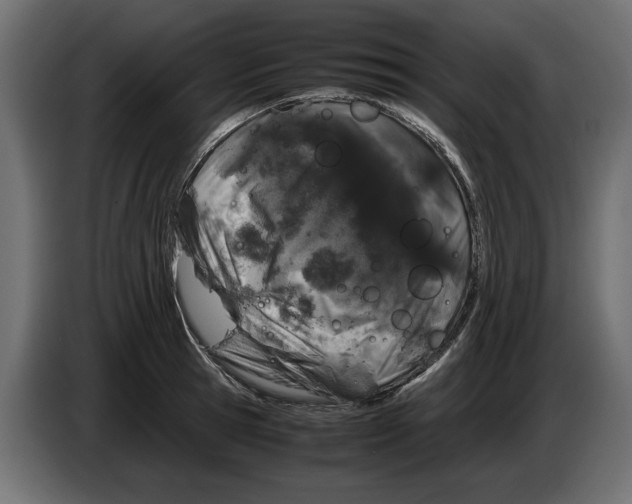 X0000082970945200703020231