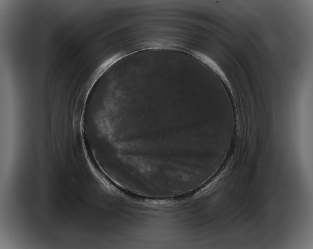 X0000082970946200703020231