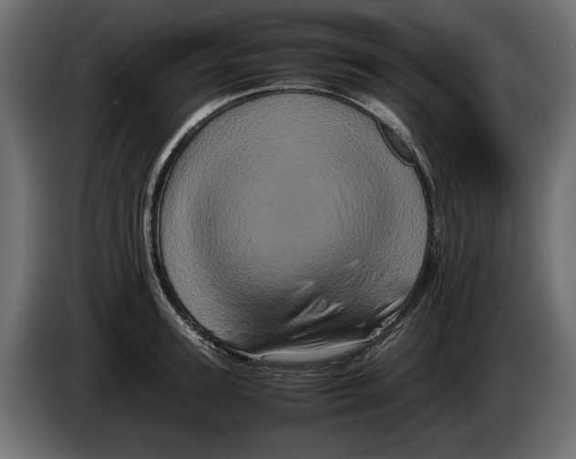 X0000082970947200703020231