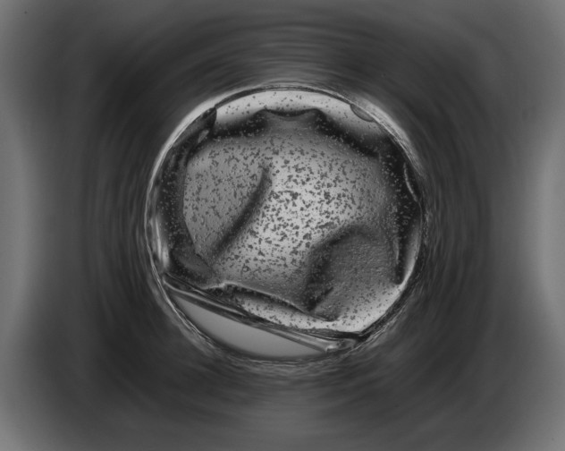 X0000082970948200703020231