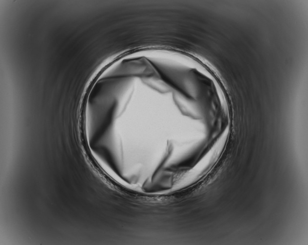 X0000082970949200703020231