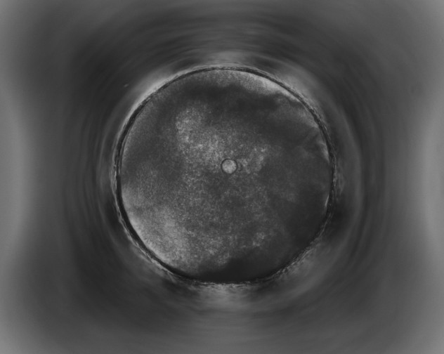 X0000082970950200703020231