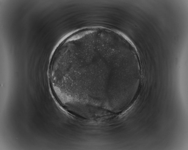 X0000082970951200703020231