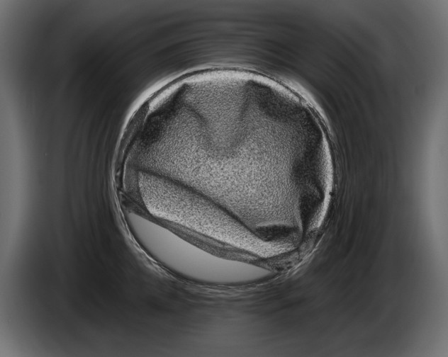 X0000082970952200703020231
