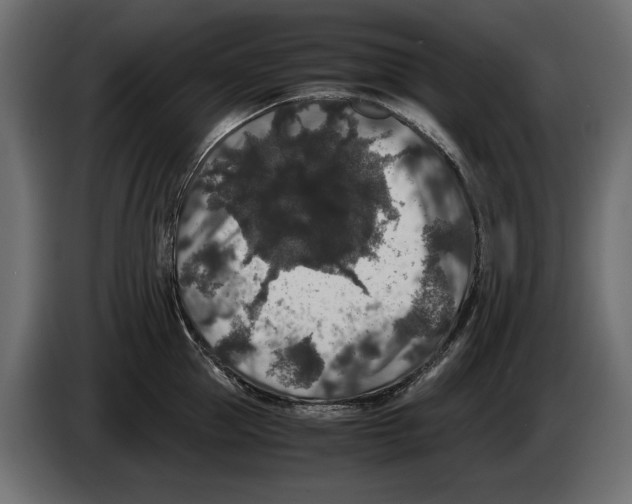X0000082970953200703020231