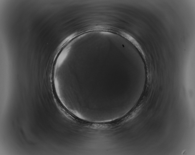 X0000082970954200703020231