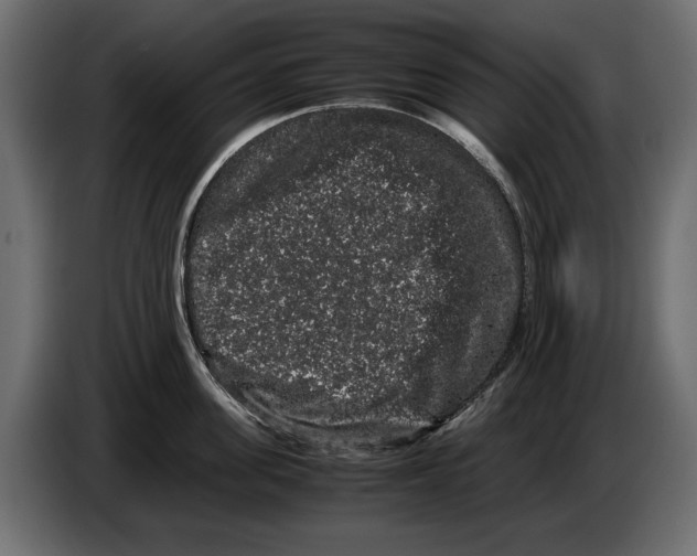 X0000082970955200703020231