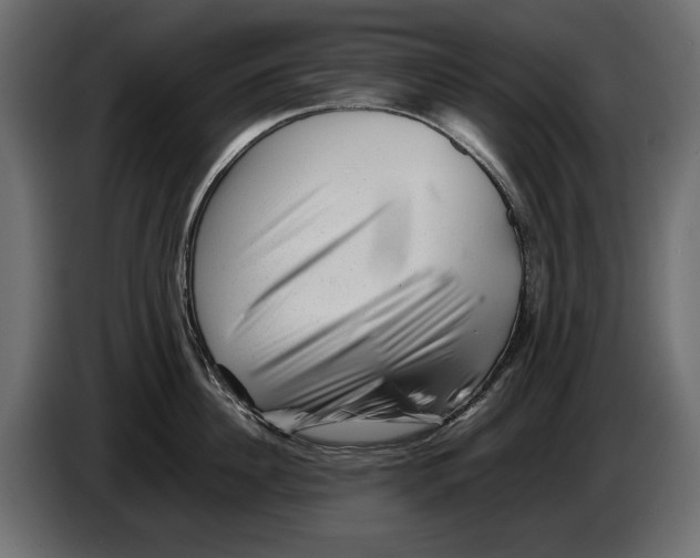 X0000082970956200703020231