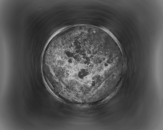X0000082970957200703020231