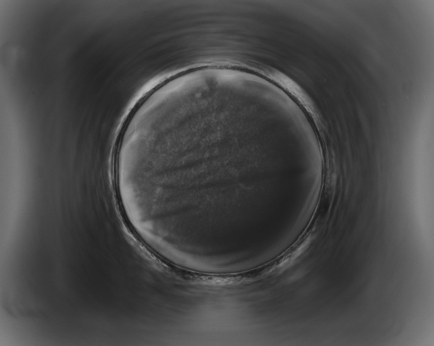 X0000082970958200703020231