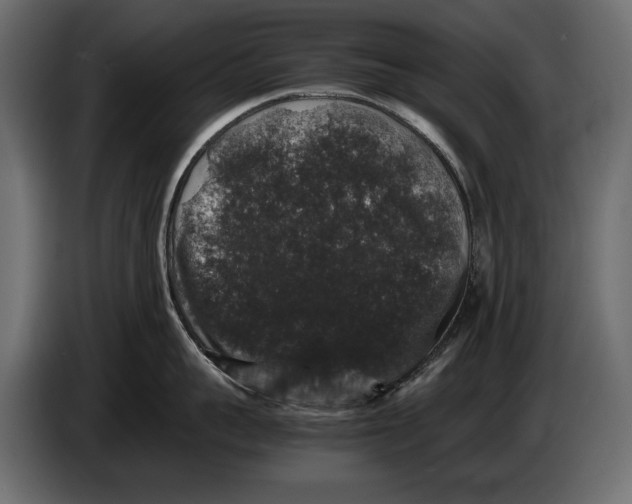 X0000082970959200703020231