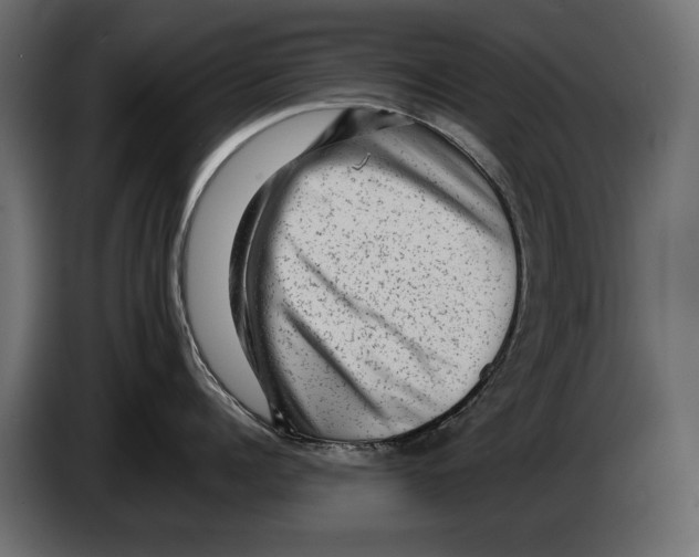 X0000082970960200703020231