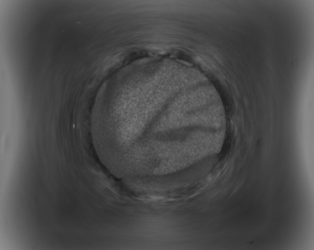 X0000082970961200703020231