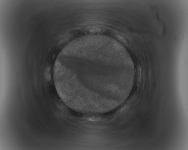 X0000082970962200703020231