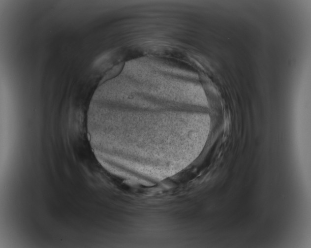 X0000082970964200703020231
