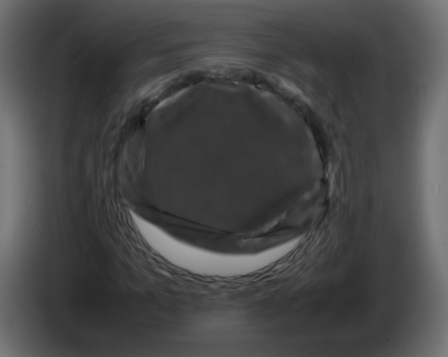 X0000082970965200703020231
