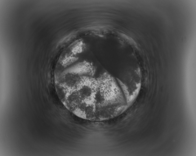 X0000082970966200703020231