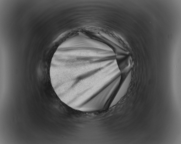 X0000082970968200703020231