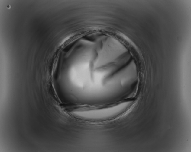 X0000082970969200703020231