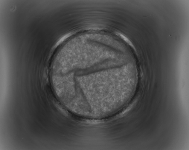 X0000082970970200703020231
