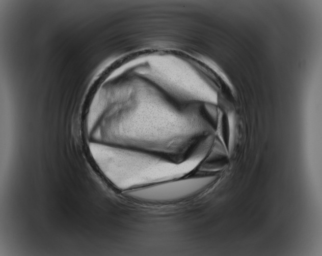 X0000082970972200703020231