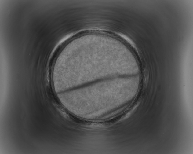 X0000082970974200703020231
