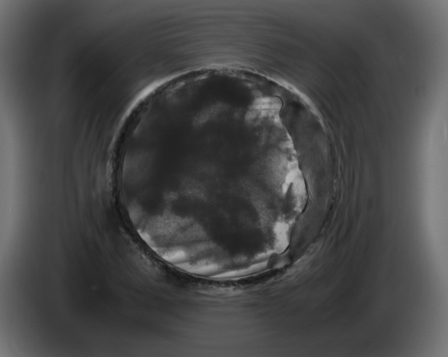 X0000082970975200703020231