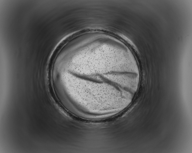 X0000082970976200703020231