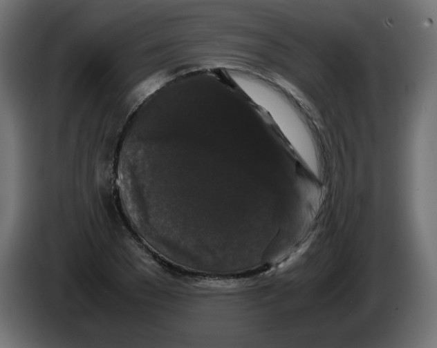 X0000082970977200703020230
