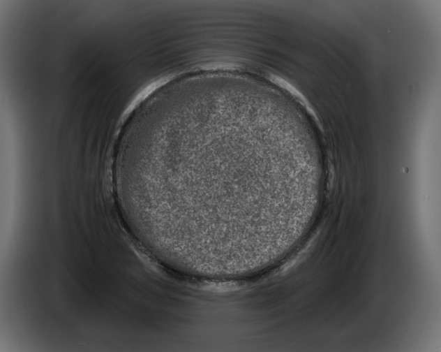 X0000082970978200703020230