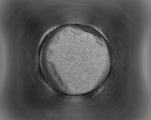 X0000082970979200703020230