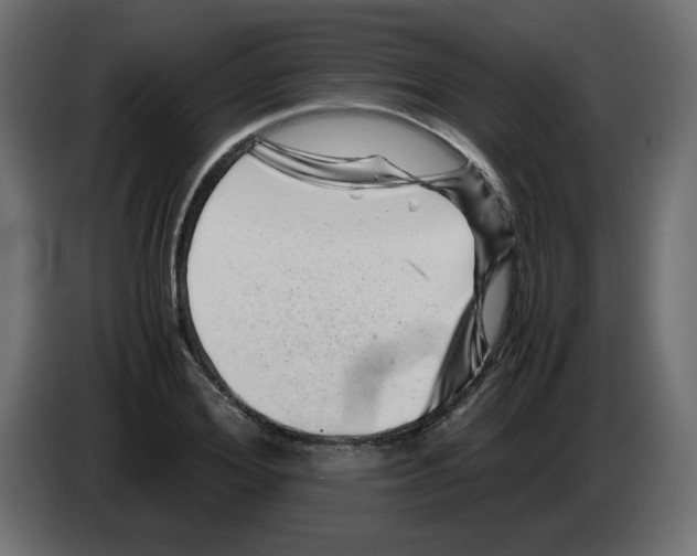 X0000082970980200703020230