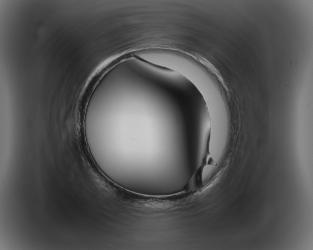 X0000082970981200703020230