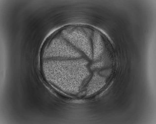 X0000082970982200703020230