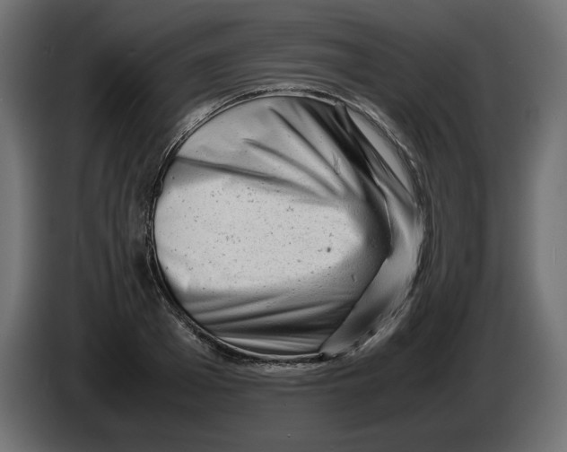 X0000082970985200703020230