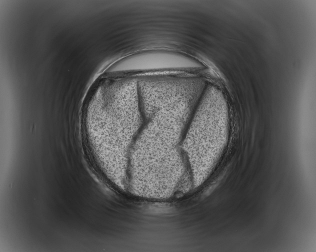 X0000082970986200703020230