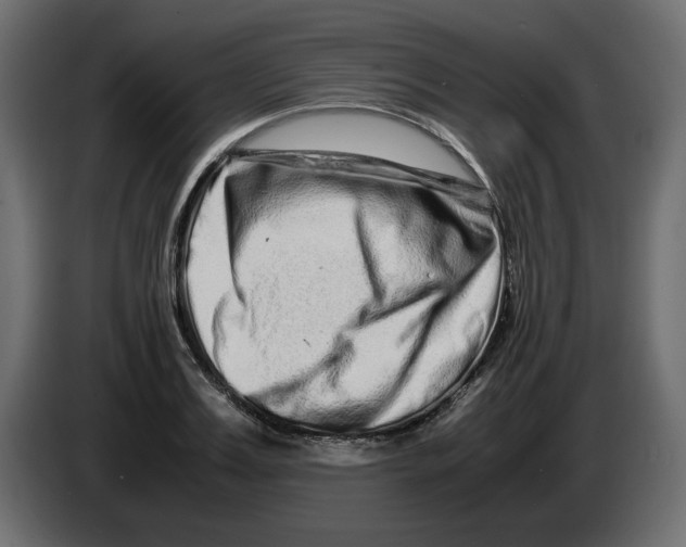 X0000082970987200703020230