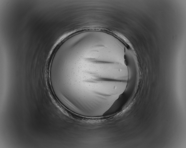 X0000082970989200703020230