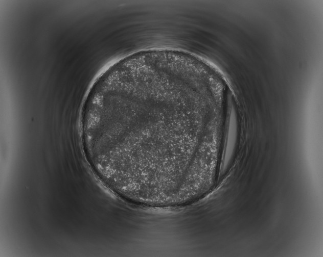 X0000082970990200703020230