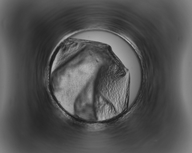 X0000082970992200703020230